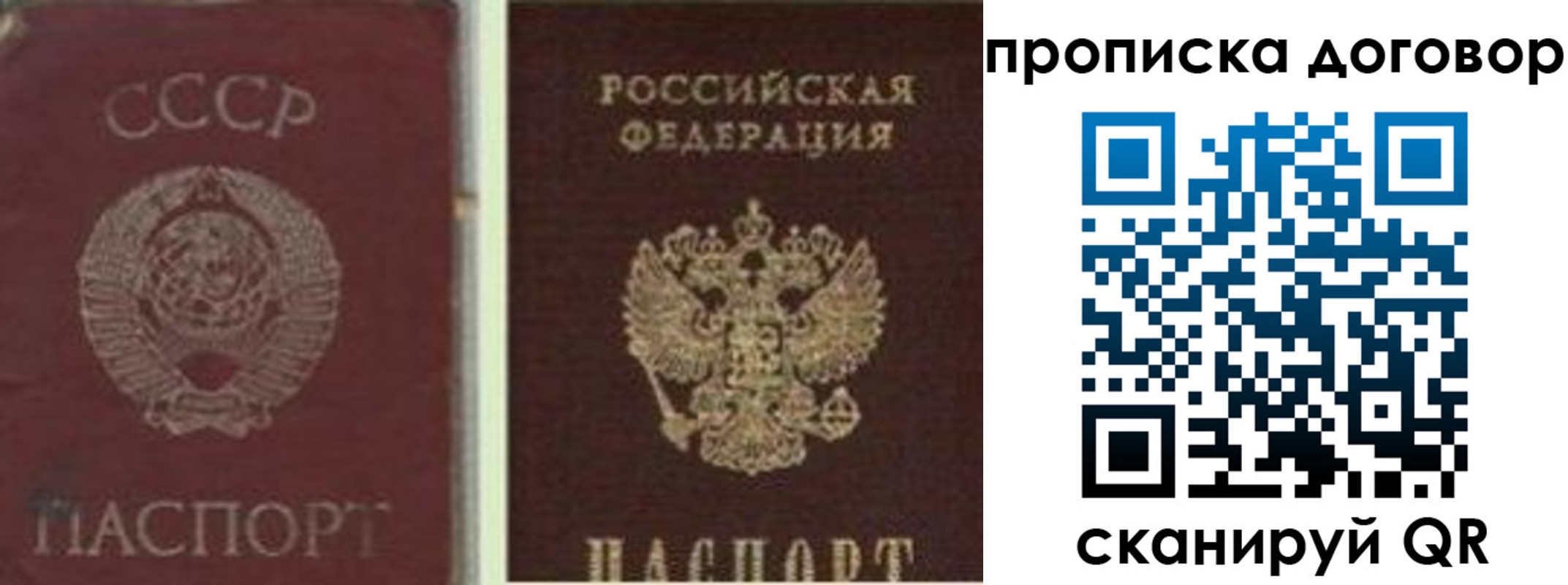 прописка гарантия в Камчатском крае